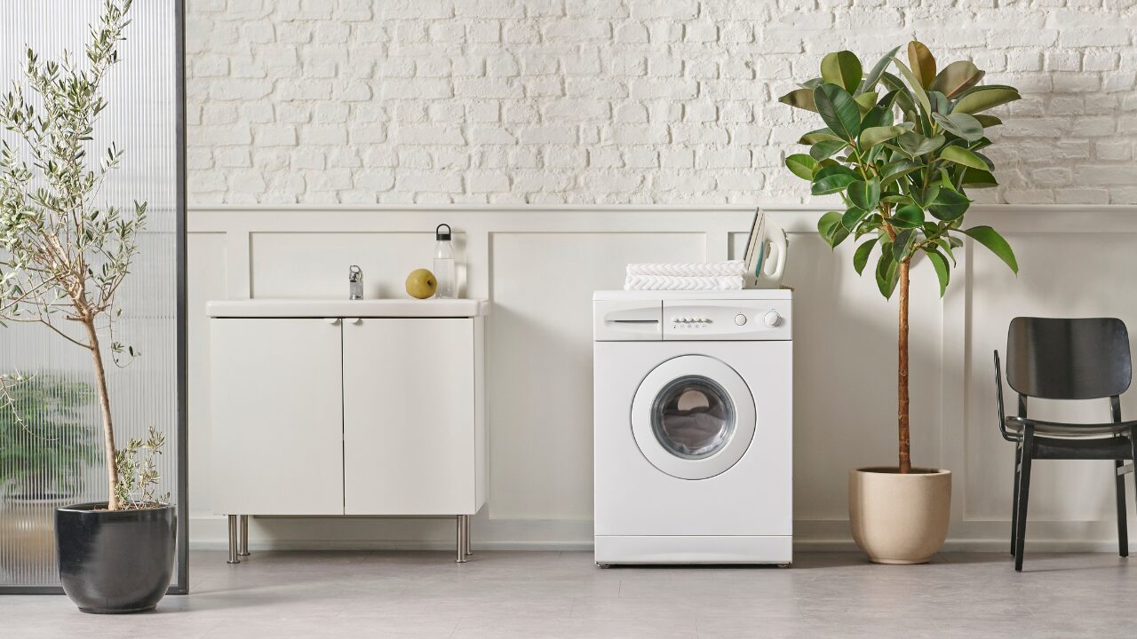 洗濯機と観葉植物のある部屋